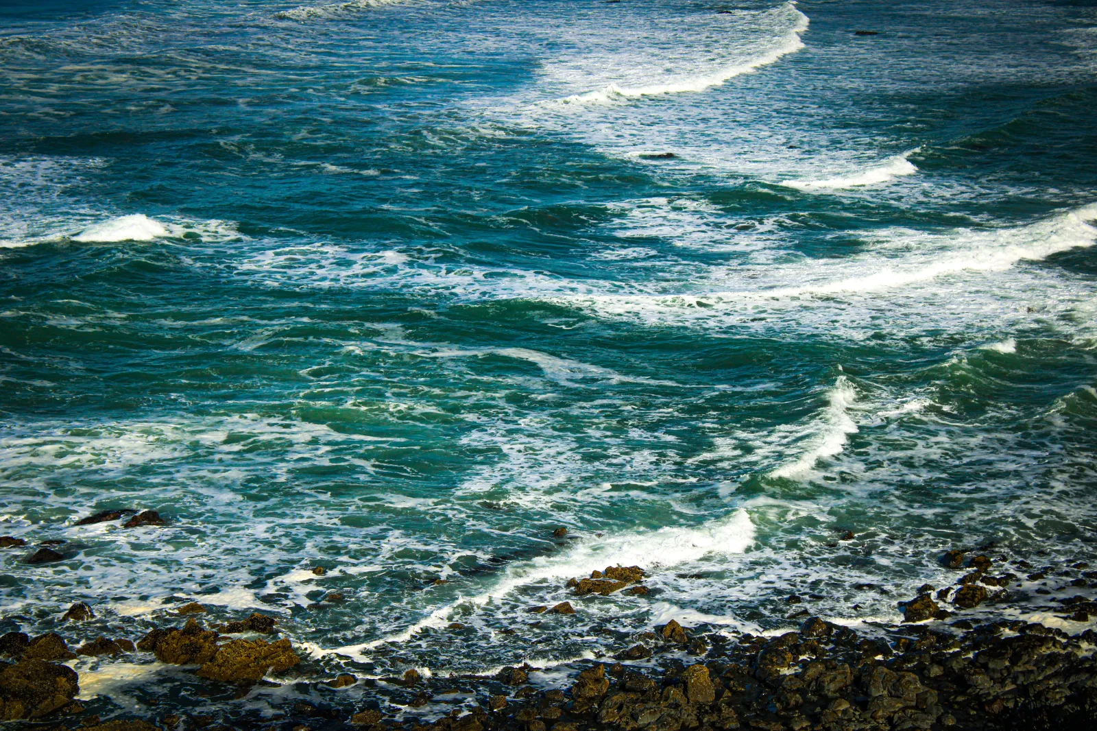 20240329004932_IMG_3091.webp