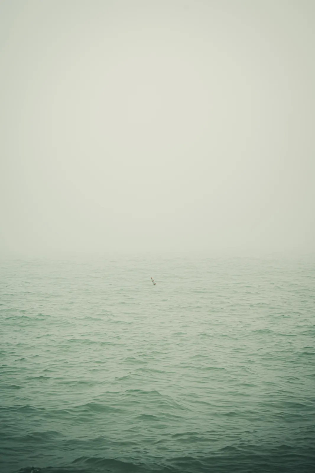 DSC00170.webp