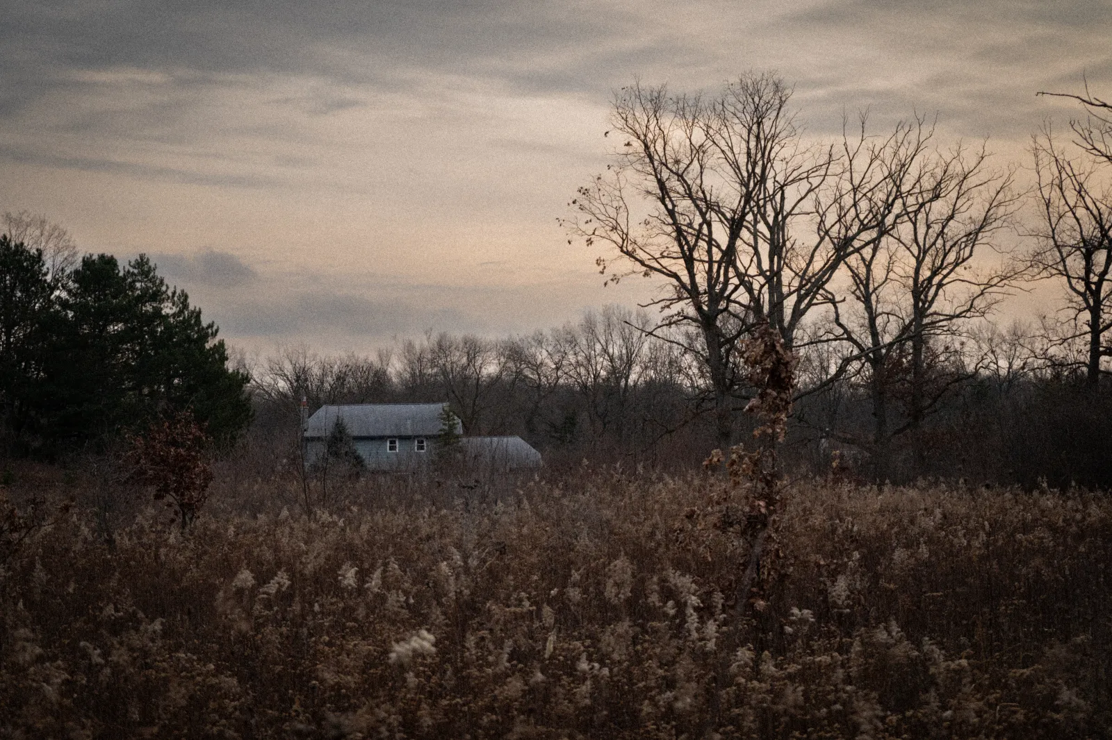 DSC00286.webp